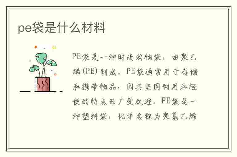 pe袋是什么材料(pe袋是什么材料图片)